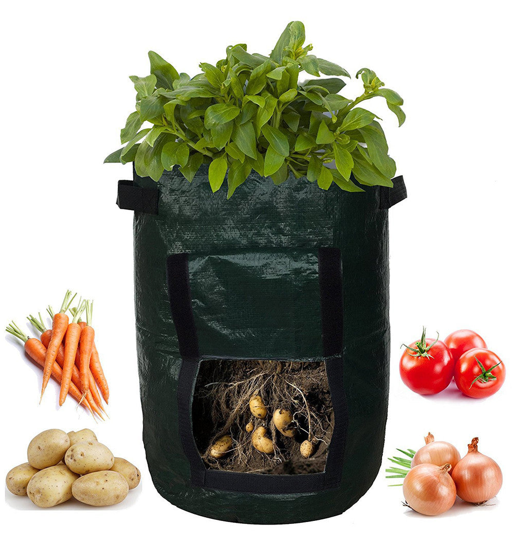 PE Cloth Garden Planting Bag | Durable, Reusable, and Lightweight