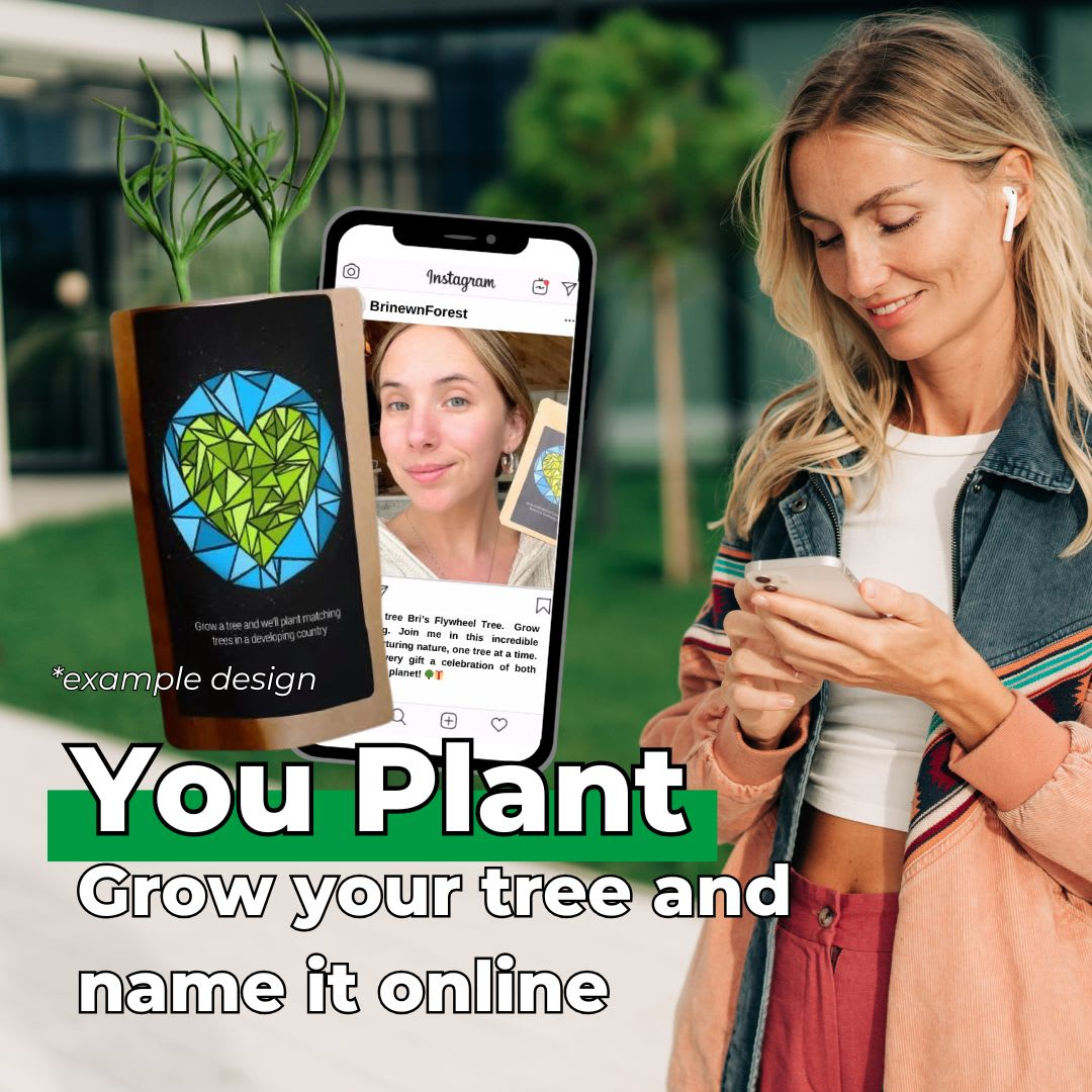 79105336