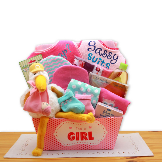 Special Delivery New Baby Gift Basket - Pink | Baby Bath Set, Baby Girl Gifts, Baby Shower Gifts