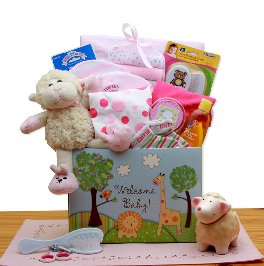 Welcome New Baby Gift Box - Pink | Baby Bath Set, Baby Girl Gifts, New Baby Gift Basket