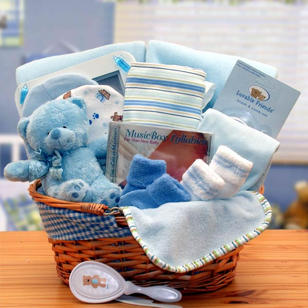 Simply The Baby Basics New Baby Gift Basket- Blue - Baby Bath Set - Baby Boy Gift Basket - New Baby Gift Basket - Baby Shower Gifts